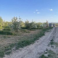 بیا-بازدید-کن-بخر-تاکستان
