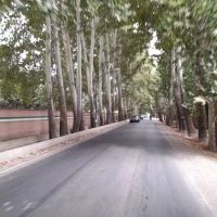 خرید-فروش-ویلا-دهکده-ورزشی-چهارباغ-سنقرآباد-قوهه