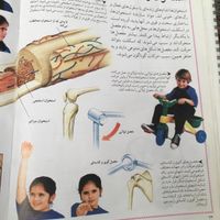 کتاب مرجع اطلس بدن من|کتاب و مجله آموزشی|تهران, شهرک آپادانا|دیوار