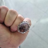 دو عدد انگشتر شجر  رکاب زنجان و رکاب قم|جواهرات|تهران, خلیج فارس|دیوار