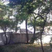 ملک-حیاط-در-اختیار-قدرالسهم-دار