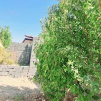 باغچه-301-متر-درب-ماشین-رو-آب-با-سندیت