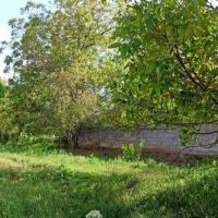 باغ-1000متری-لاسبید