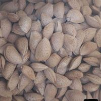 بادام درشت|خوردنی و آشامیدنی|تهران, زنجان|دیوار