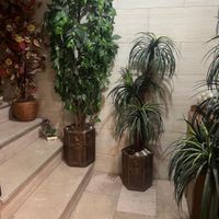 درختچه مصنوعی|گل مصنوعی|تهران, امامزاده حسن(ع)|دیوار