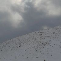 خانه-ویلایی-رسالت-غربی-7