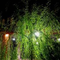 باغ380متری-سند-دار