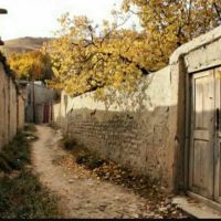 زمین-کشاورزی-قابلیت-صنعتی-بود-برای-جاده-بین-الملی