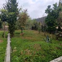 زمین-با-سند-و-داخل-بافت