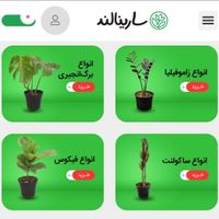 طراحی سایت.سئو آن پیج و آف پیج.گوگل ادز|خدمات رایانه‌ای و موبایل|تهران, دهکده المپیک|دیوار