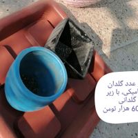 گلدان های پلاستیکی و سرامیکی نو و دست دوم|گل و گیاه طبیعی|تهران, آبشار|دیوار