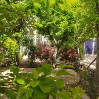 باغ فروشی|فروش خانه و ویلا|جوادآباد, |دیوار