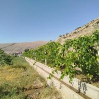 باغ-به-متراژ-2600متر