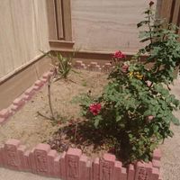 ۵۷ متر در خیابان پیروزی.خیابان بنایی|فروش آپارتمان|تهران, زاهد گیلانی|دیوار