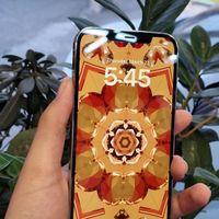 اپل iPhone 12 Pro Max با حافظهٔ ۲۵۶ گیگابایت|موبایل|رشت, منظریه|دیوار