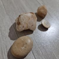 سنگ فسیل جواهرات کلکسیونی شهاب سنگ|جواهرات|تهران, باغ فیض|دیوار