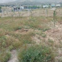 فروش-زمین
