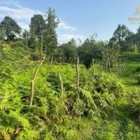353-متر-مسکونی-روستای-گمل