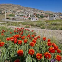 *ویلایی348مترچهاردیواری*اقساط/8ماهه،دماوندگرمابسرد|فروش خانه و ویلا|تهران, تهرانپارس شرقی|دیوار