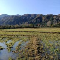 2700مترزمین-مزروعی