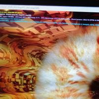 RTX AOUROS MASTER 3070 8 gig DDR6 GIGABYTE|قطعات و لوازم جانبی رایانه|تهران, نجات اللهی|دیوار