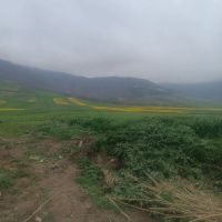 فروش-زمین-باغچه-خانه-زنیان