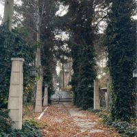 6000-متر-باغ-زیر-قیمت-منطقه