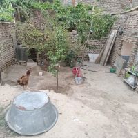 زمین75متری