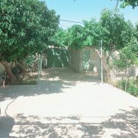 خانه-ویلایی-و-باغچه-در-عباس-آباد