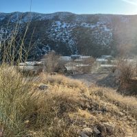 زمین-مالک-اصلی