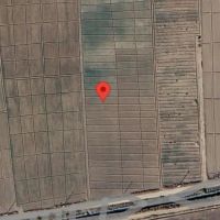 زمین-مناسب-باغ-پسته-ایلخچی