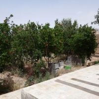 باغ-650-متری-امامزاده-علی-اکبر