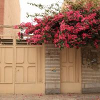 فروش-ویلایی-دو-طبقه-در-قدس