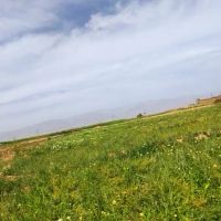 زمین-جاده-باغرود