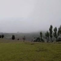 زمین باغی|فروش زمین و ملک کلنگی|کرج, هفت تیر|دیوار