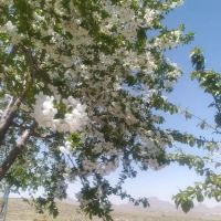 زمین-کشاورزی