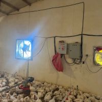 فروش-مرغداری-15-هزار-قطعه