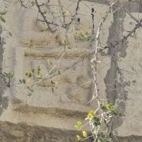 یک-قطعه-زمین-واقع-در-بوستان-18-دونبش-160متر