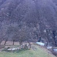 زمین-در-ییلاق-شیخ-موسی
