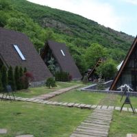 ویلا-اسکاتلندی-در-دل-جنگل