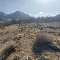 زمین-باغ-علی-آباد