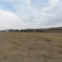 زمین-زراعی-دو-کله-نبش