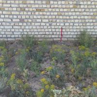 زمین-فروشی-خوش-قیمت