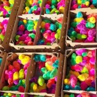 فروش جوجه رنگی و رسمی...|حیوانات مزرعه|کرج, مشکین‌دشت|دیوار