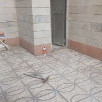 سوئیت