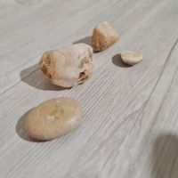 سنگ فسیل جواهرات کلکسیونی شهاب سنگ|جواهرات|تهران, باغ فیض|دیوار