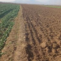 زمین-کشاورزی-آبی-ماسور