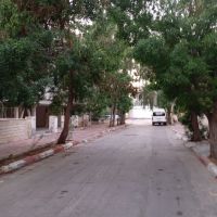 صدف-فاز-4-جنب-مرکز-خرید