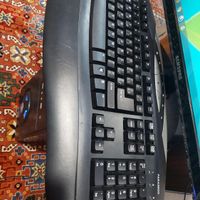 ست کامل سیستم کامپیوتر PC نو و سالم|رایانه رومیزی|تهران, لشکر|دیوار