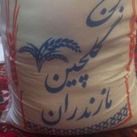 برنج گلچین مازندران|خوردنی و آشامیدنی|تبریز, |دیوار